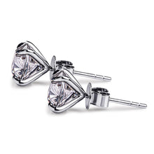Load image into Gallery viewer, eco friendly earrings  