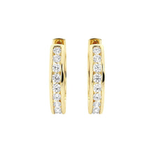 Load image into Gallery viewer, daily wear earrings  